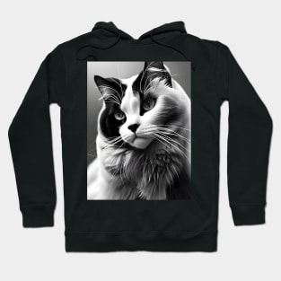 Black and White Cat - Modern Digital Art Hoodie